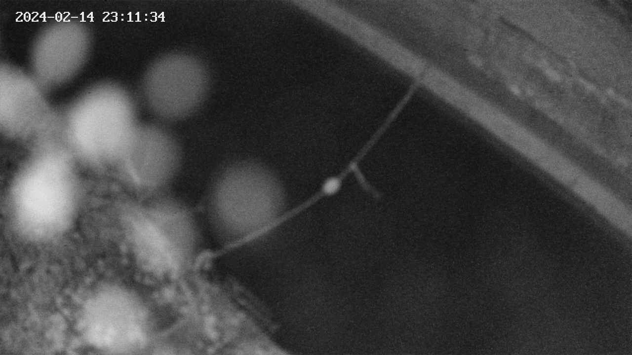 area10-20240214231135.jpg