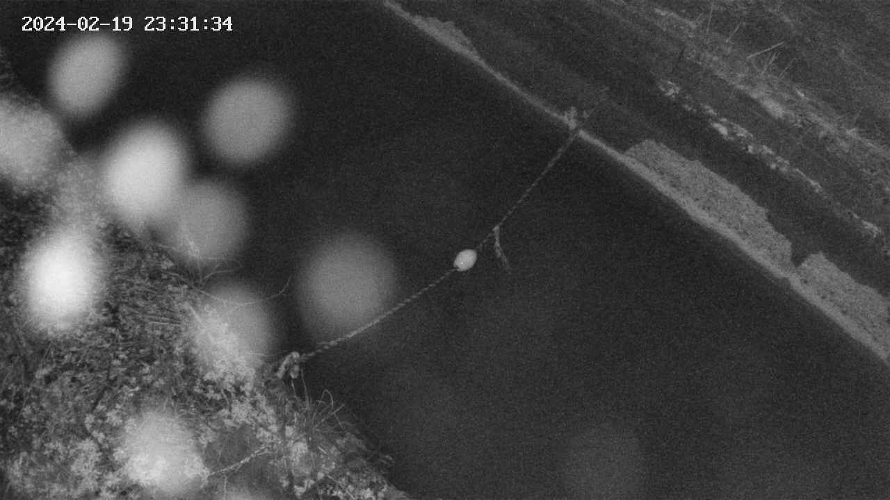 area10-20240219233134.jpg