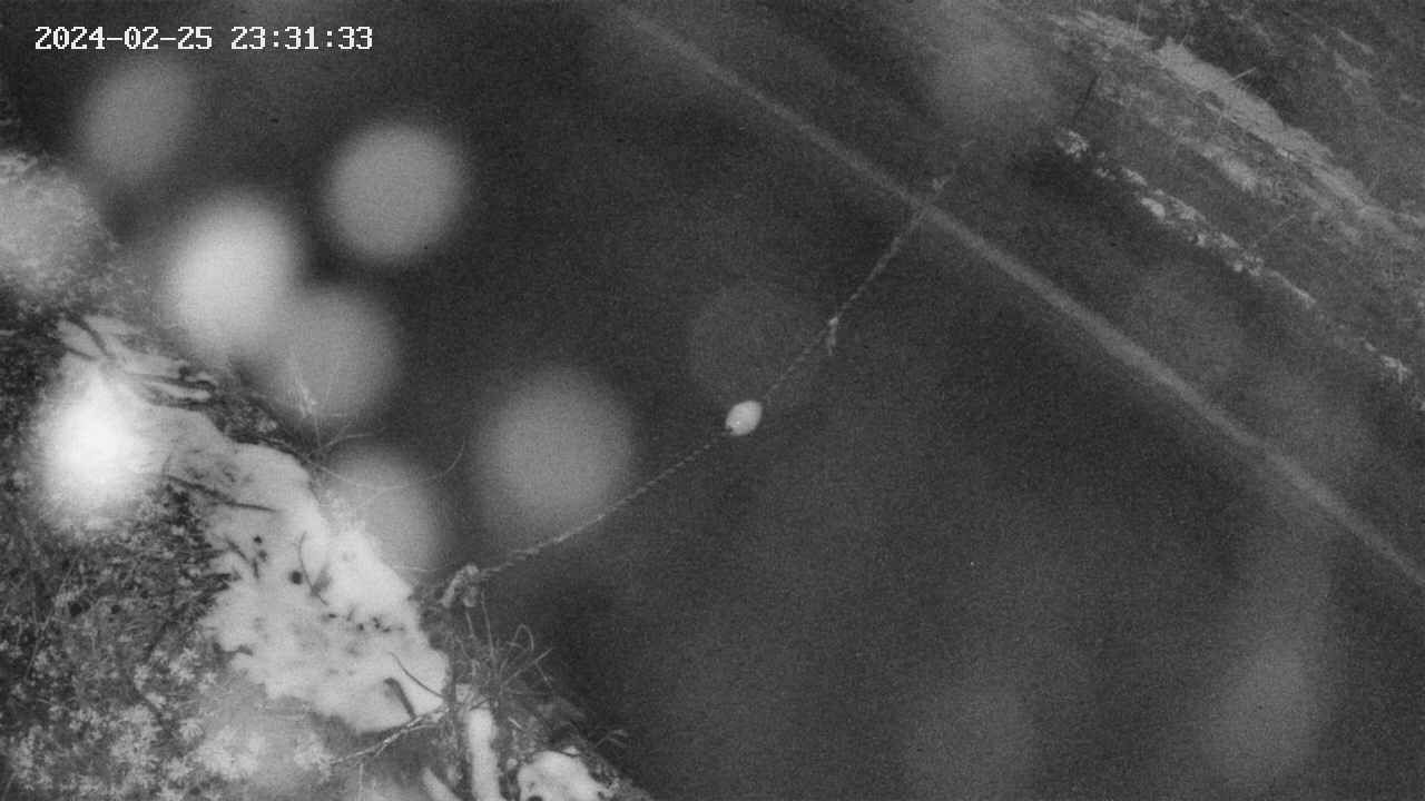 area10-20240225233134.jpg