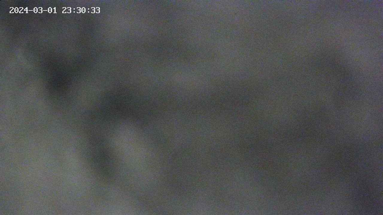 area10-20240301233033.jpg