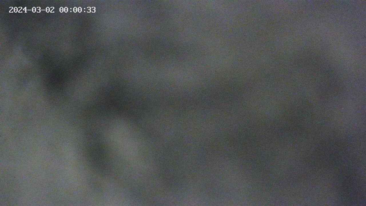area10-20240302000034.jpg