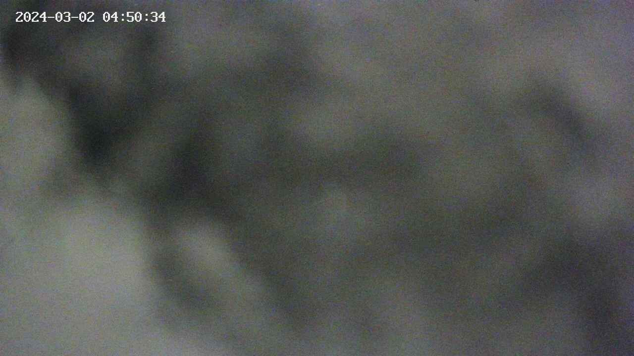 area10-20240302045035.jpg