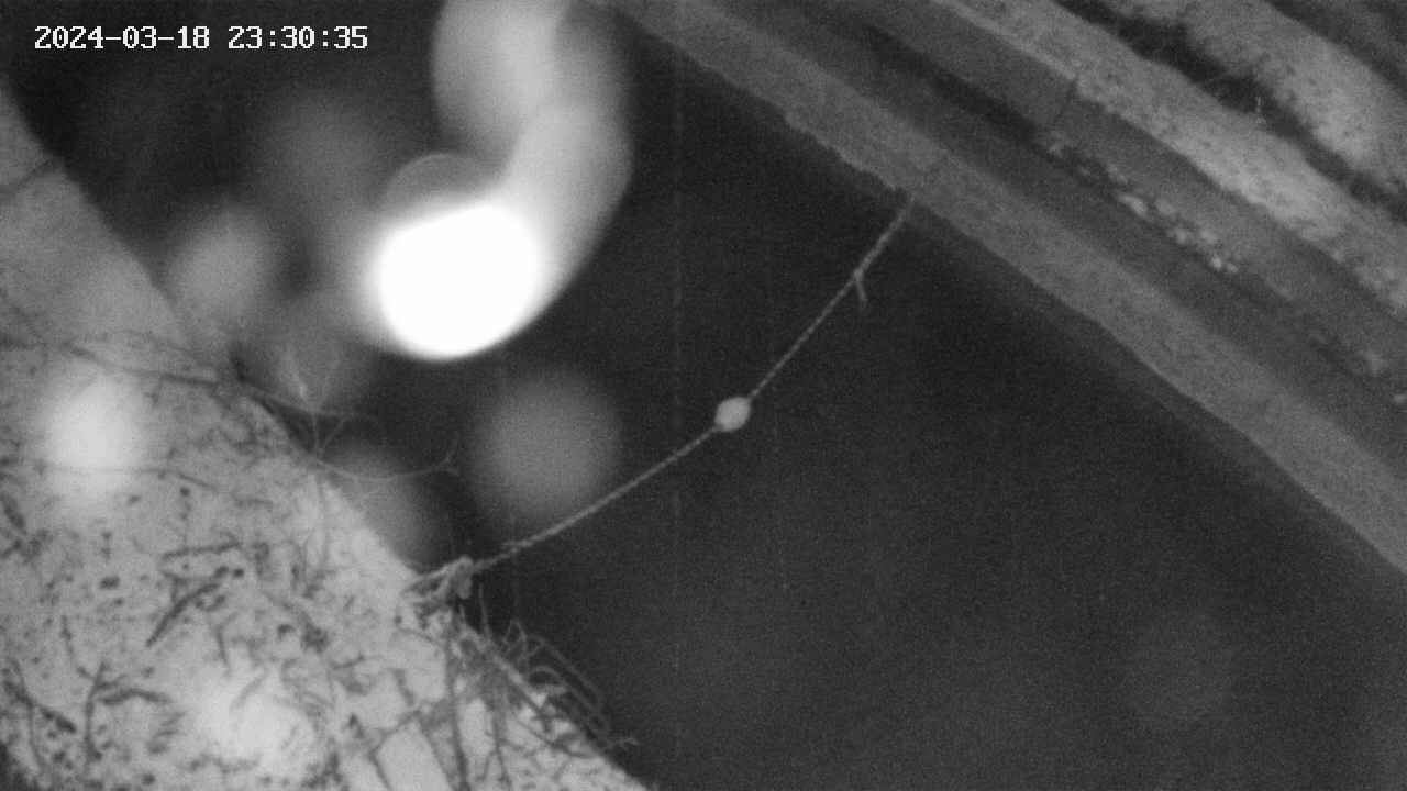 area10-20240318233035.jpg