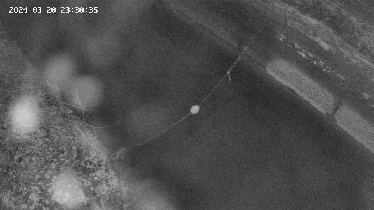area10-20240320233035.jpg
