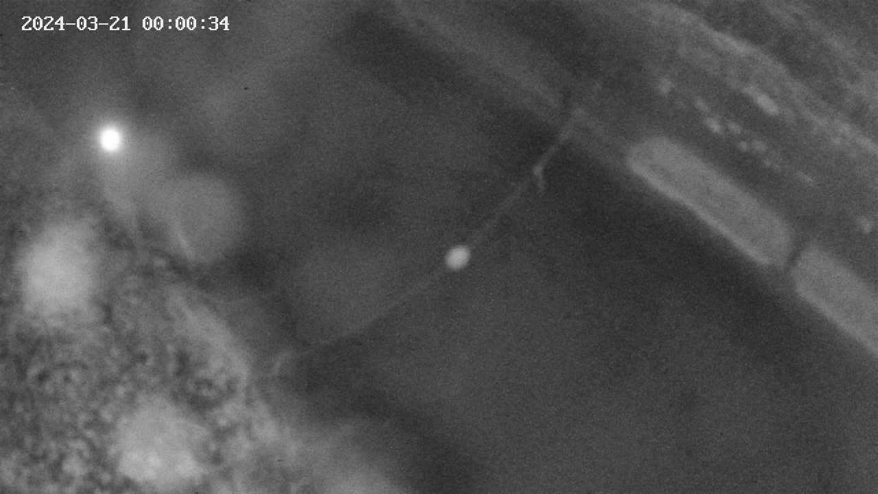 area10-20240321000035.jpg