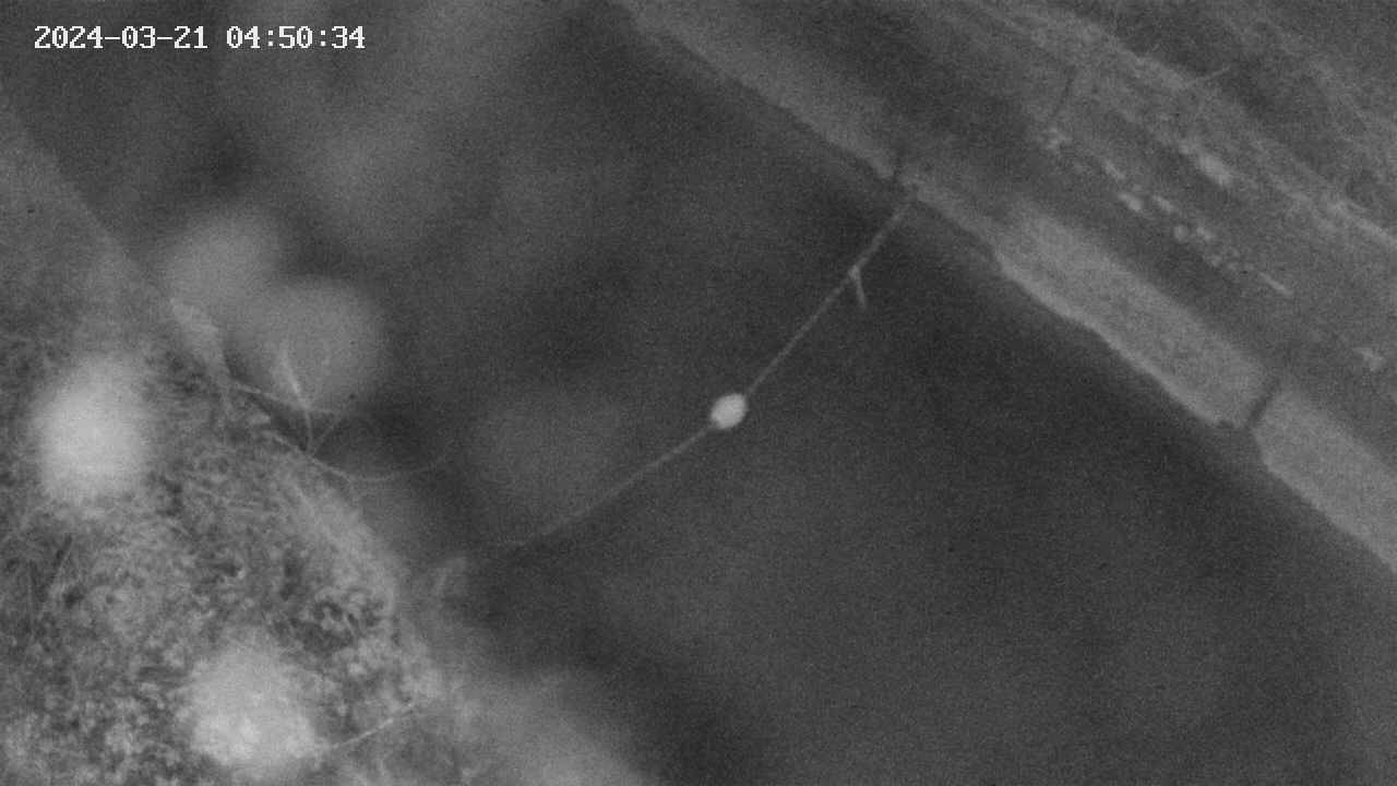 area10-20240321045035.jpg