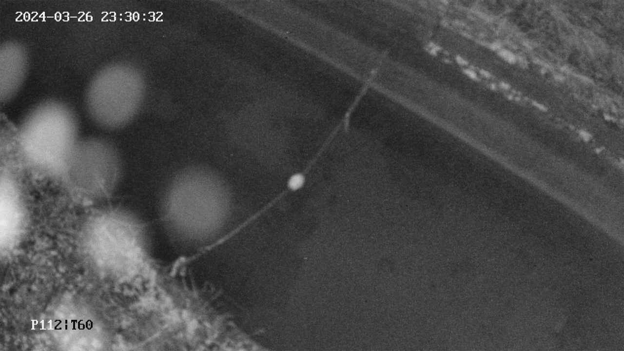 area10-20240326233033.jpg