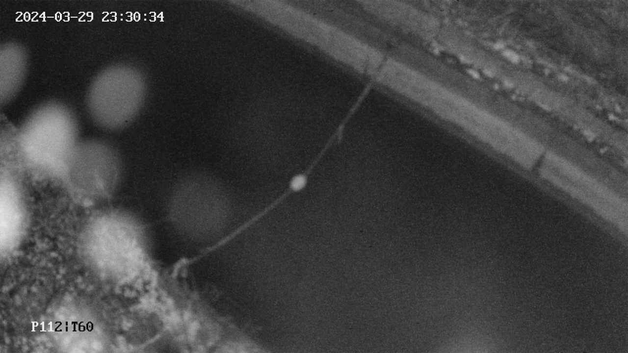 area10-20240329233035.jpg