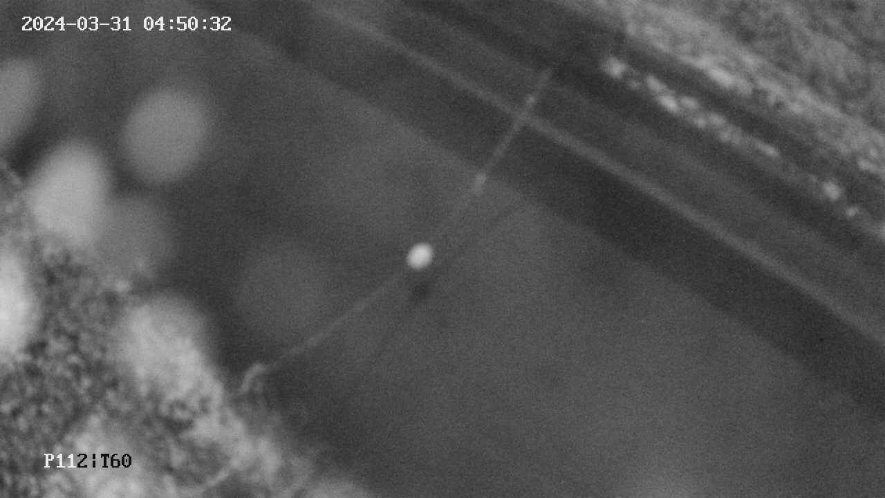 area10-20240331045033.jpg