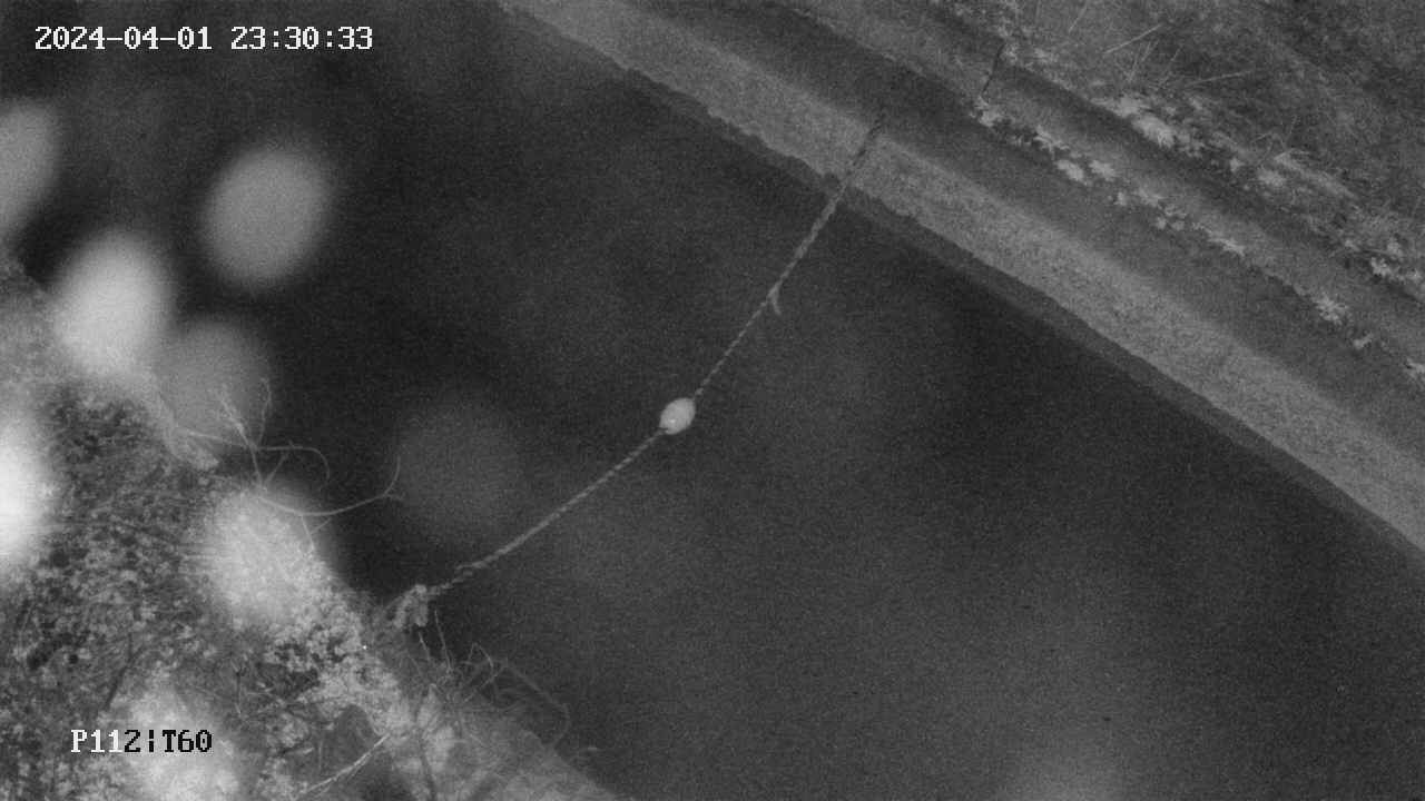 area10-20240401233033.jpg