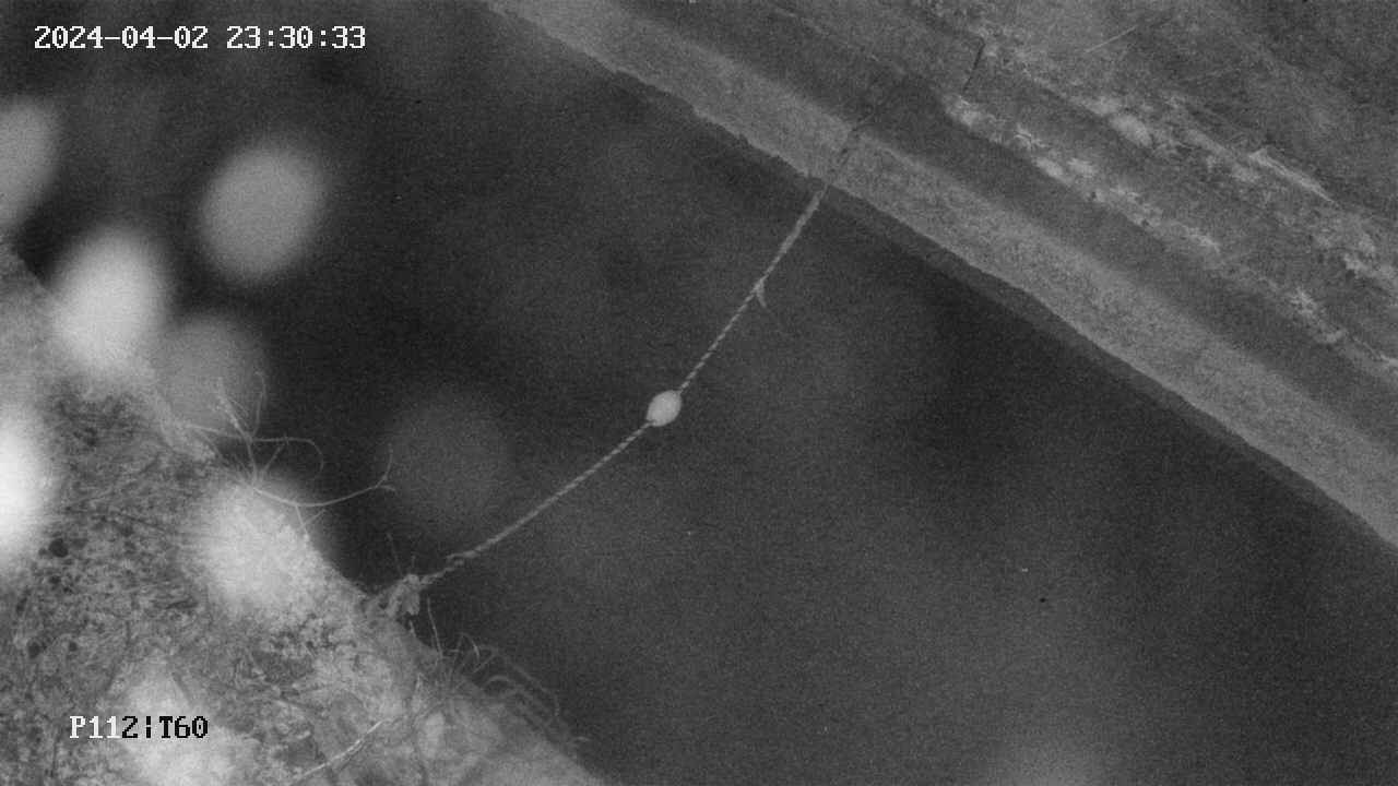 area10-20240402233033.jpg