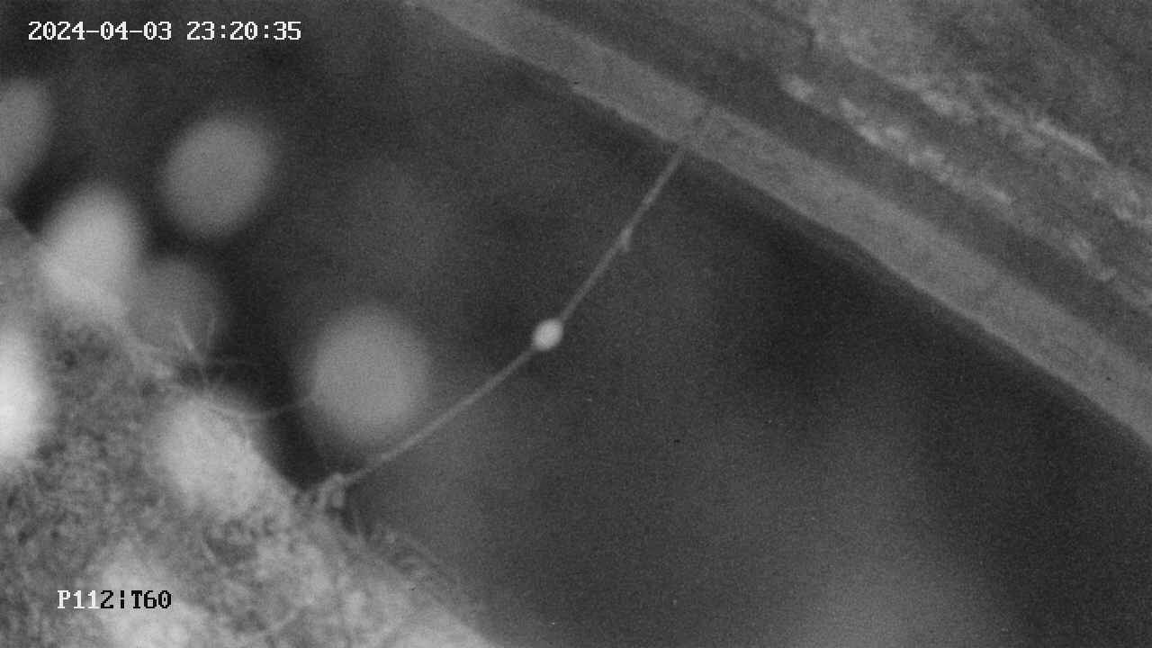 area10-20240403232035.jpg