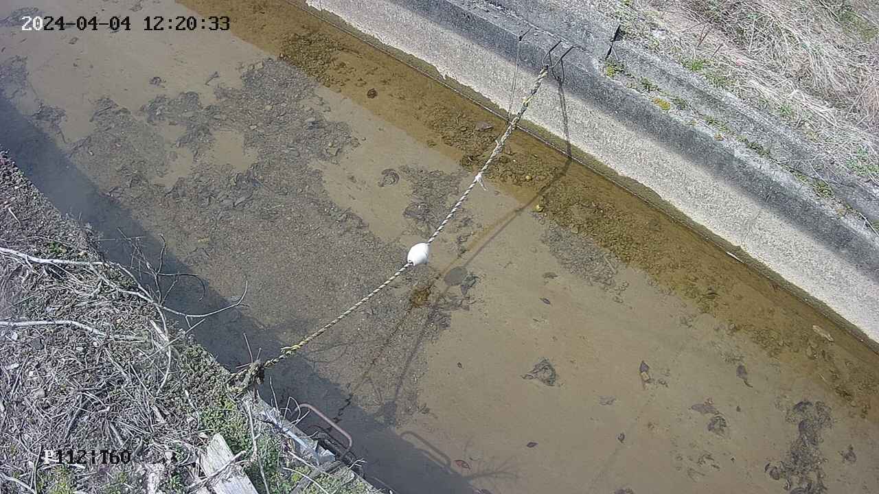 area10-20240404122034.jpg