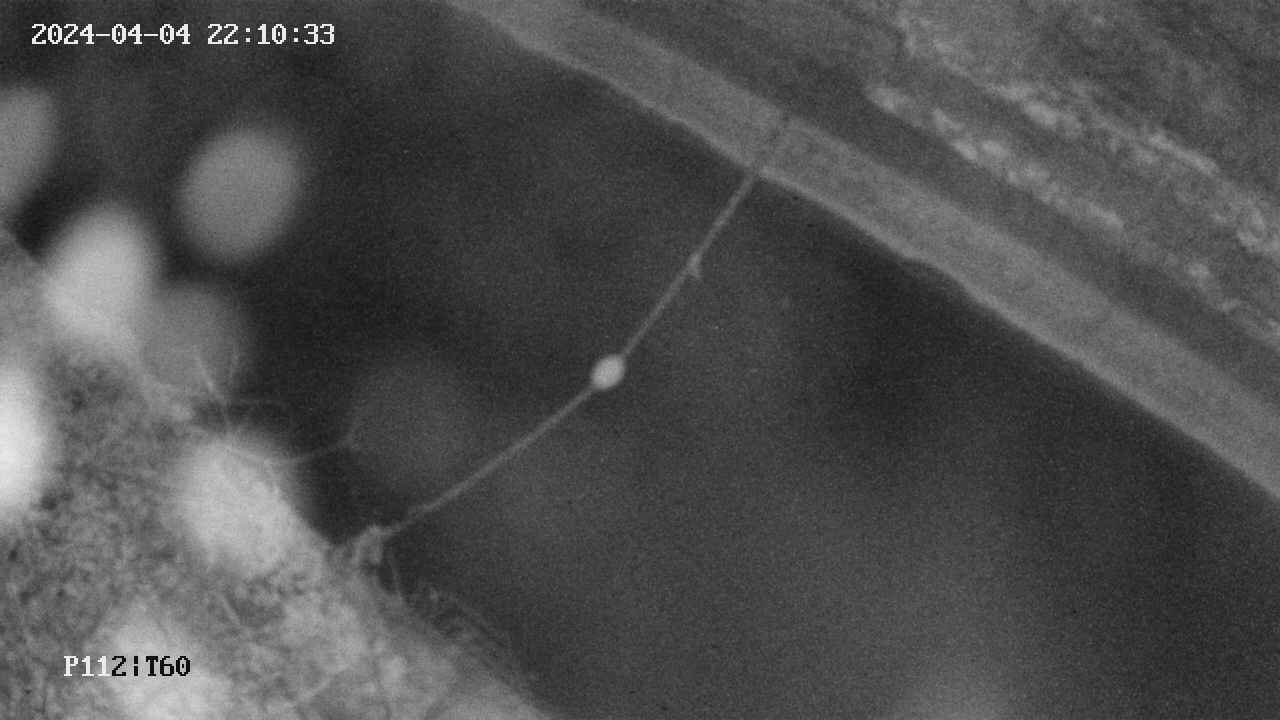 area10-20240404221033.jpg