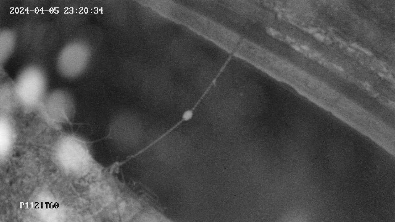 area10-20240405232034.jpg