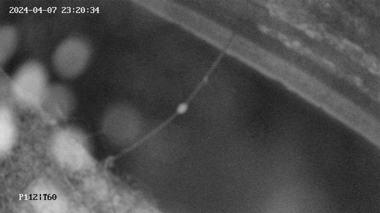 area10-20240407232035.jpg