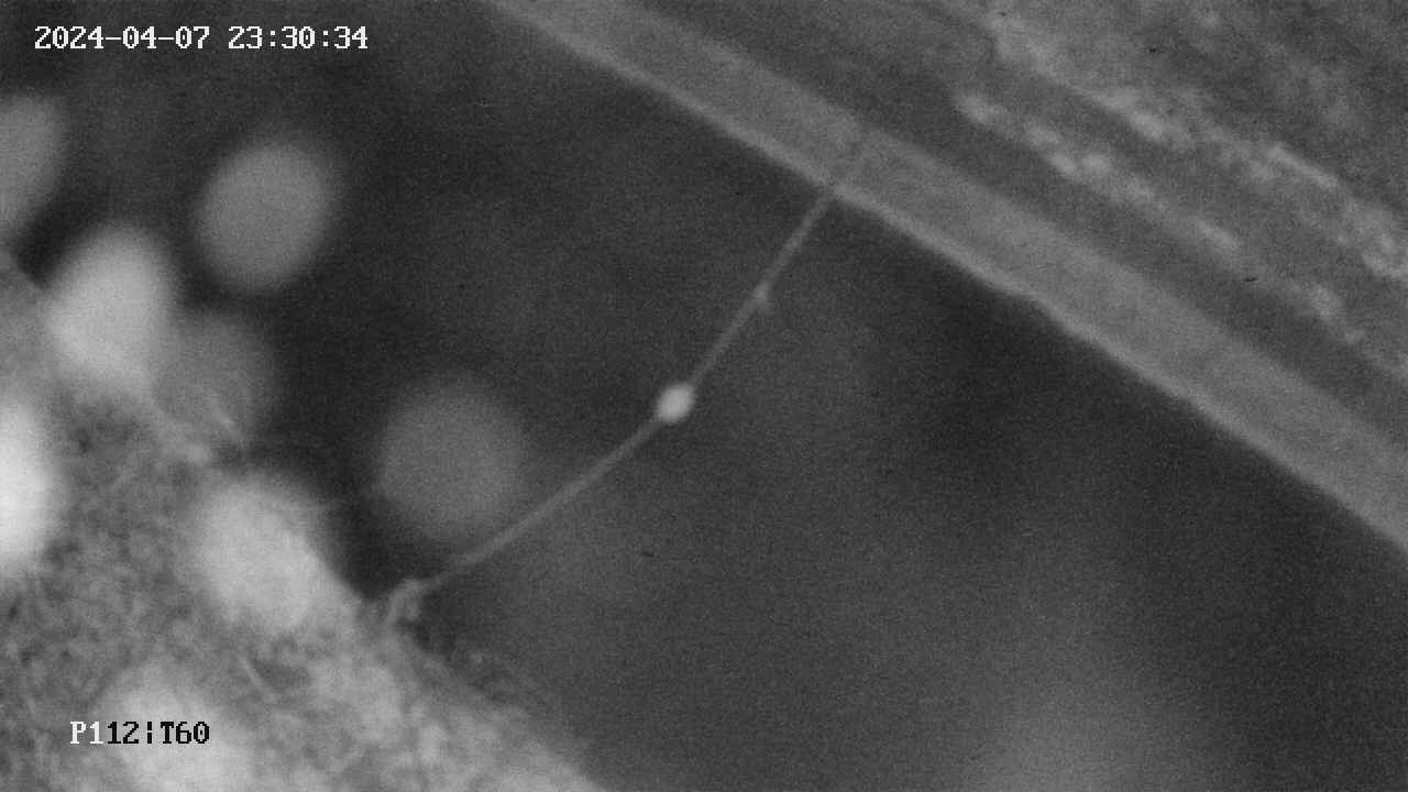 area10-20240407233035.jpg