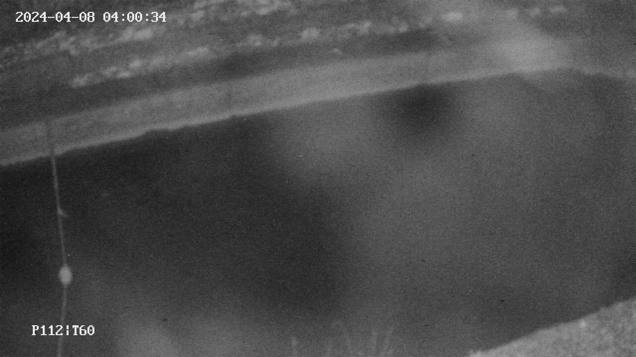 area10-20240408040035.jpg