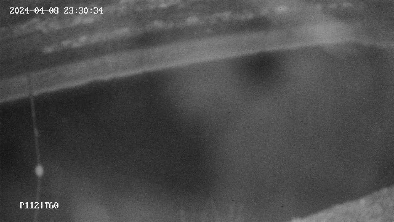 area10-20240408233035.jpg