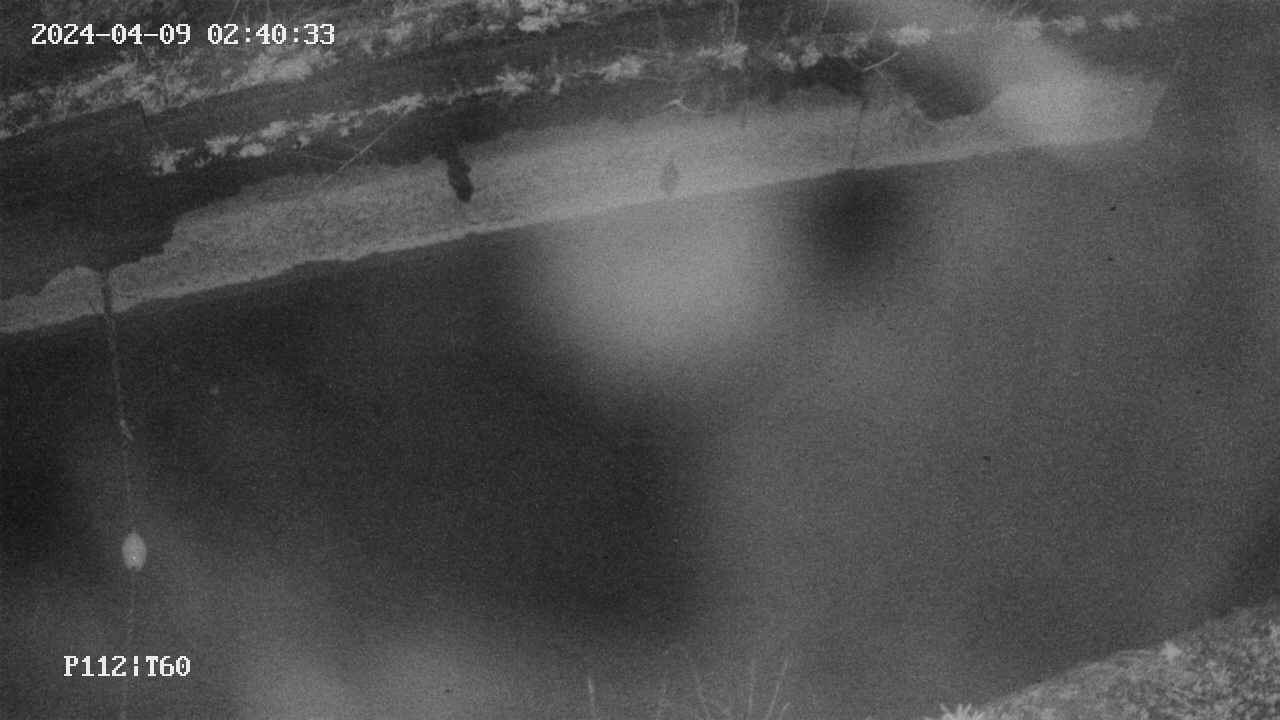 area10-20240409024033.jpg