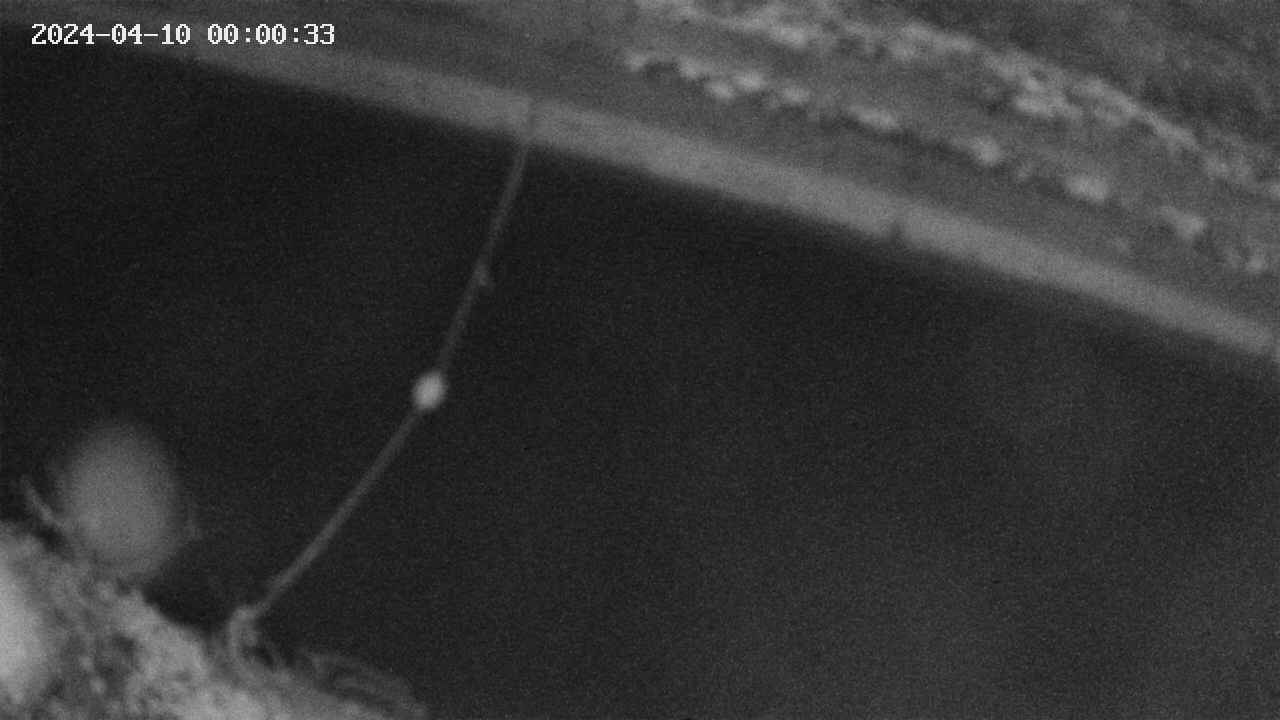 area10-20240410000034.jpg