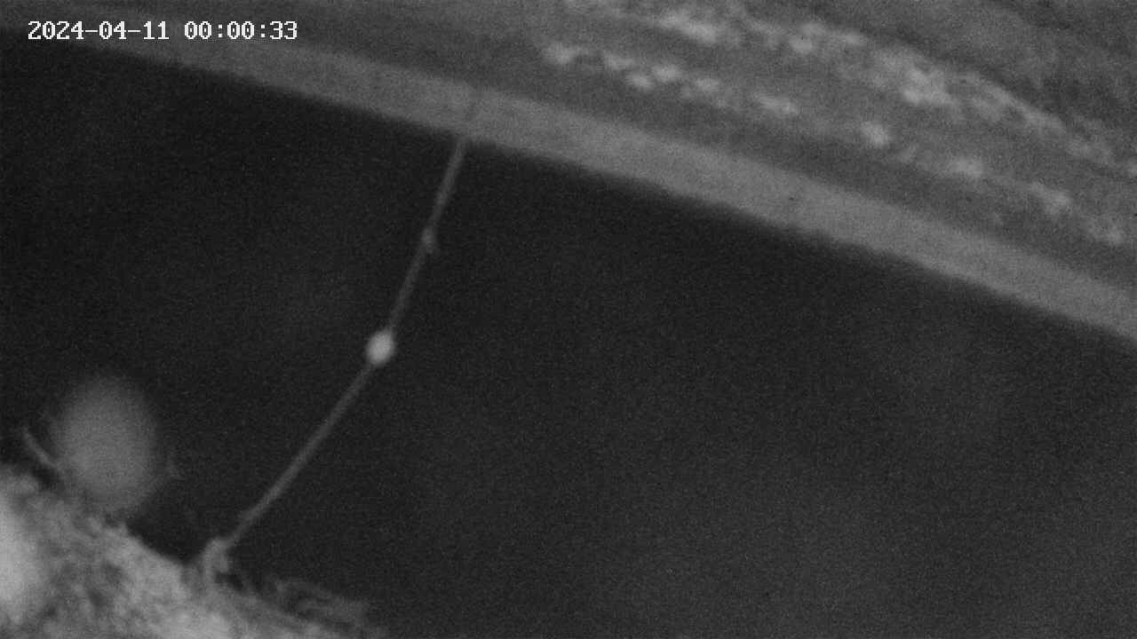 area10-20240411000034.jpg