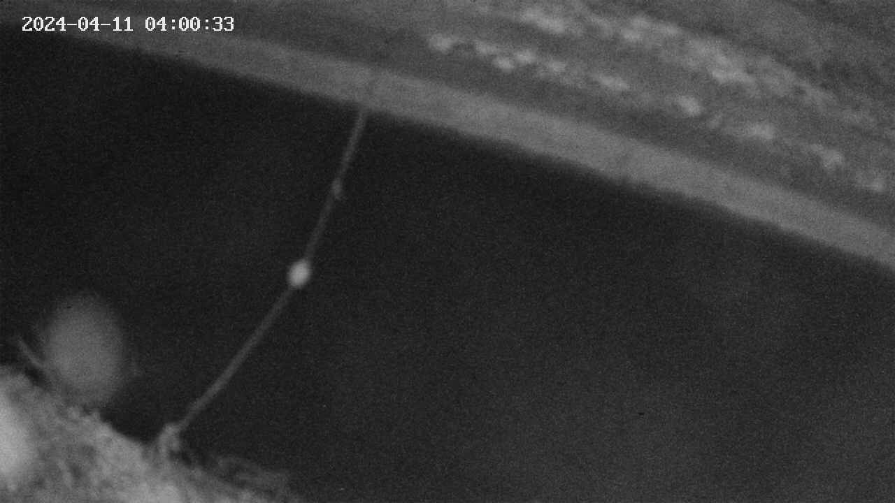 area10-20240411040034.jpg