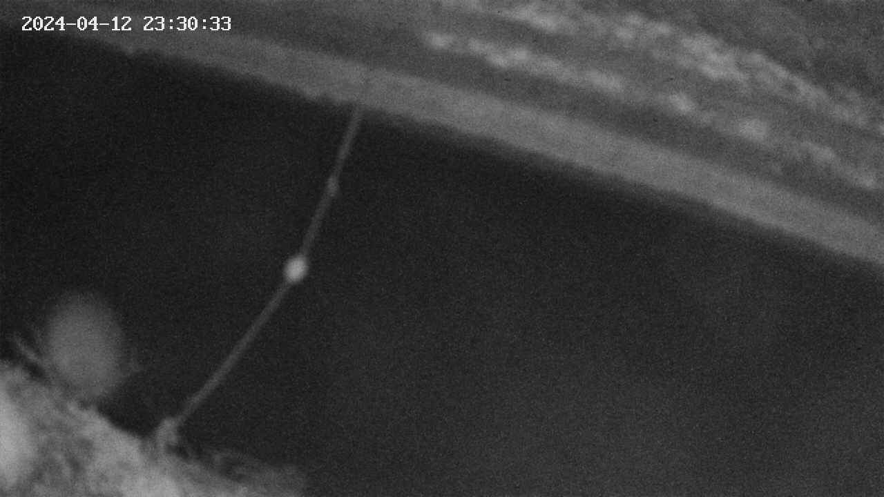 area10-20240412233034.jpg