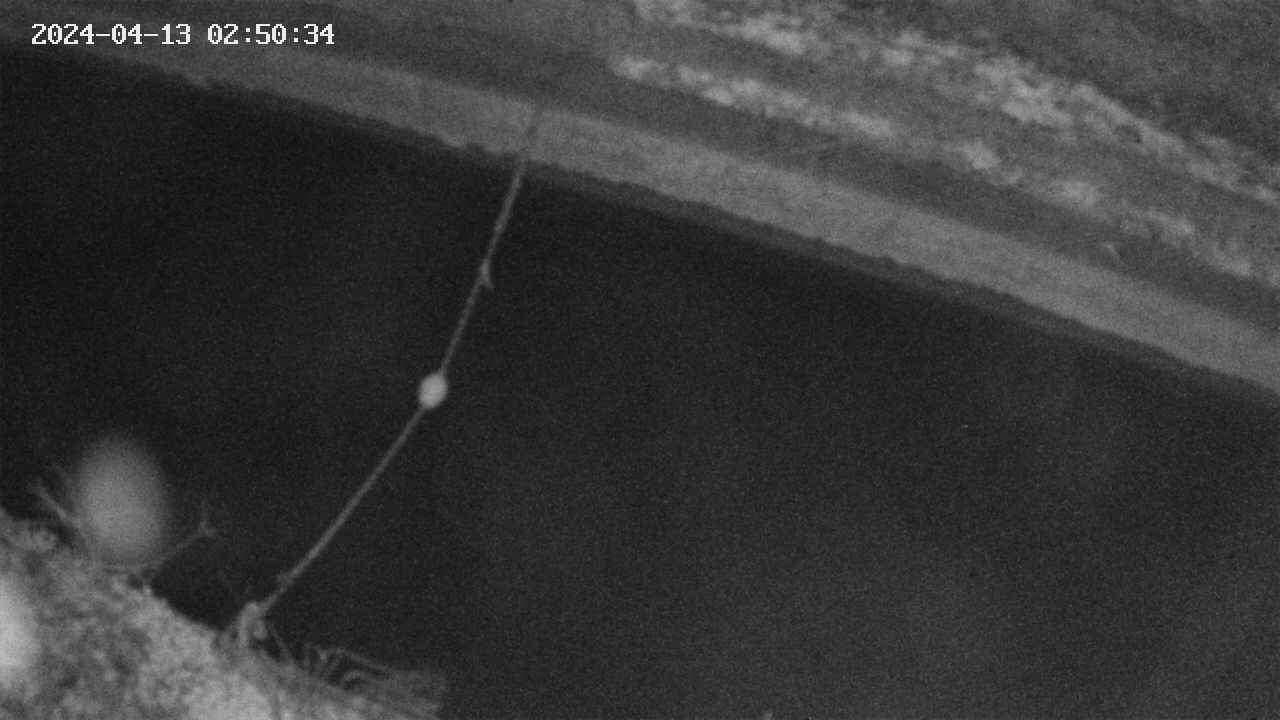area10-20240413025035.jpg