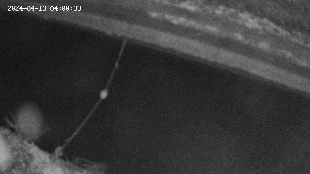 area10-20240413040034.jpg