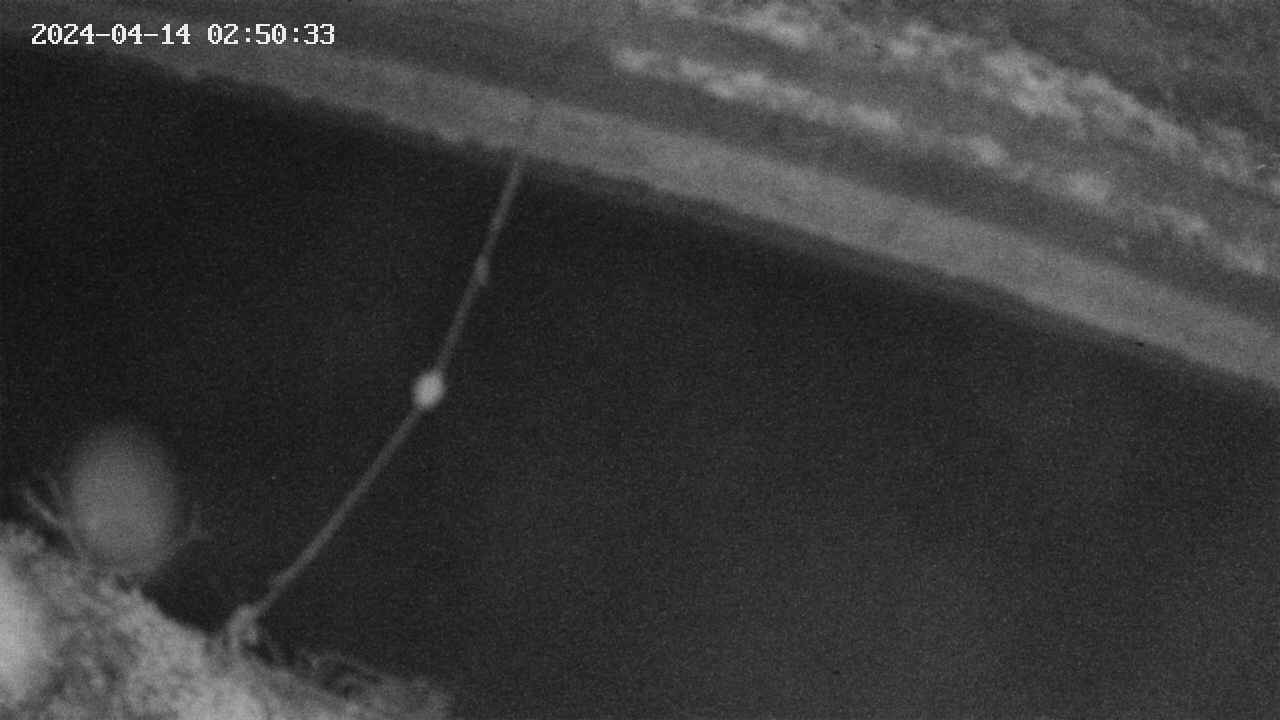 area10-20240414025034.jpg
