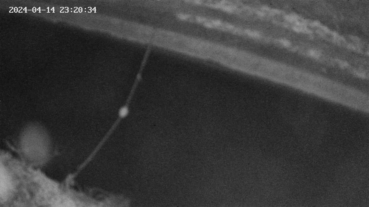 area10-20240414232035.jpg