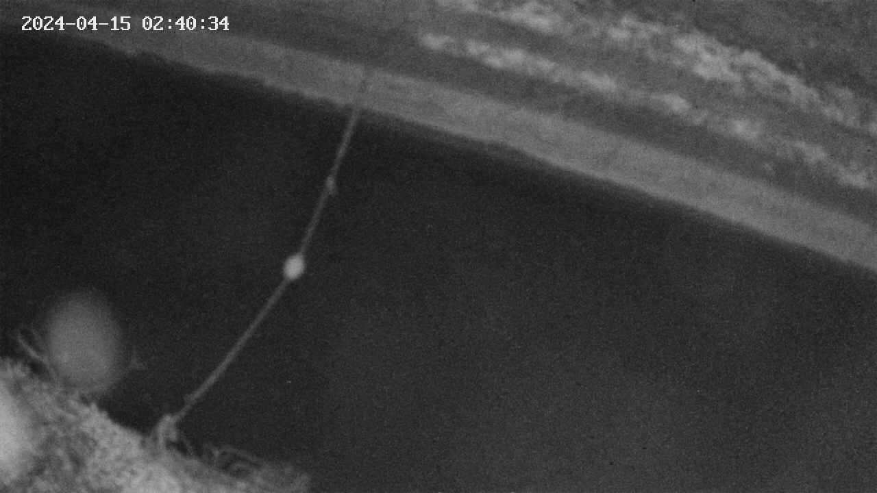 area10-20240415024035.jpg