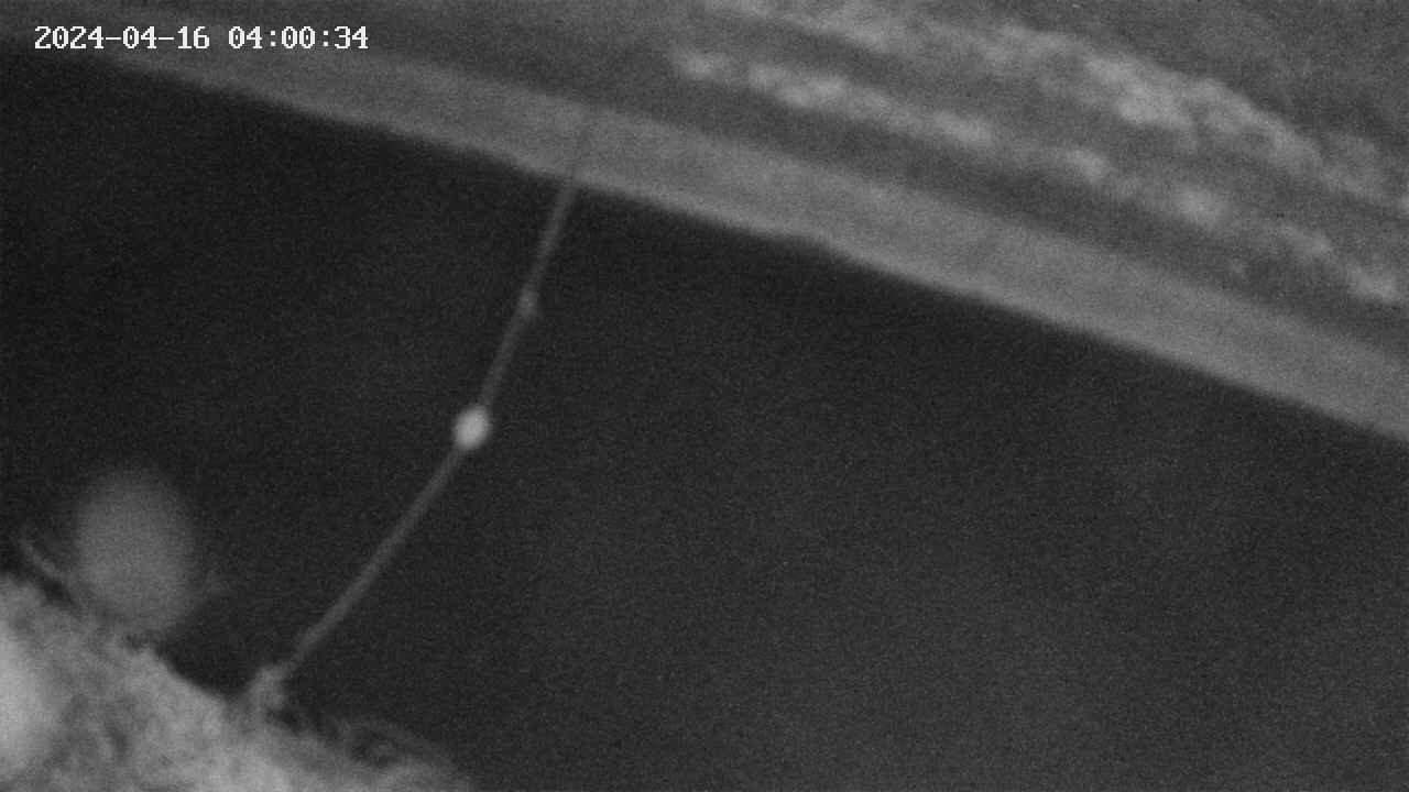 area10-20240416040035.jpg