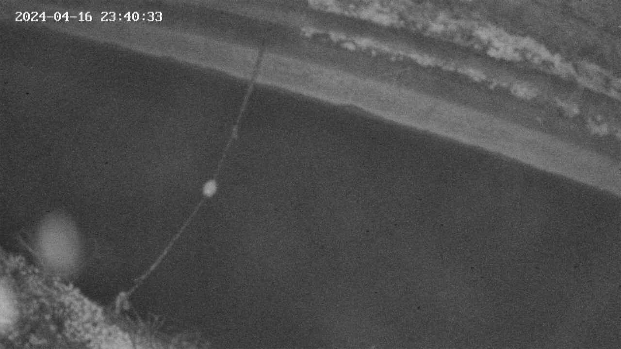 area10-20240416234034.jpg