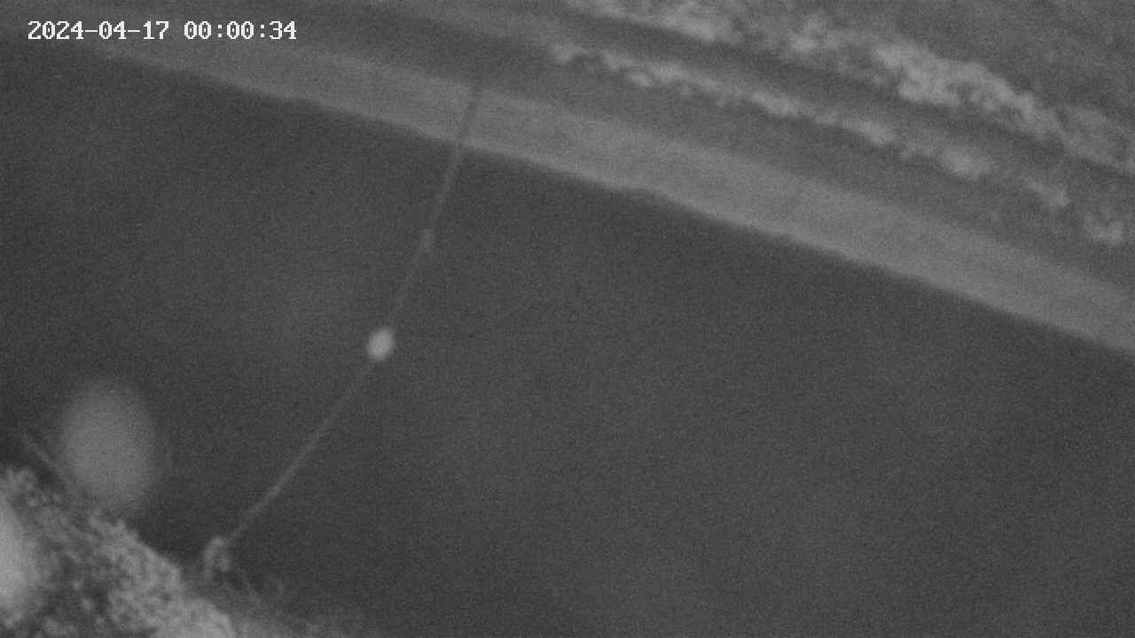 area10-20240417000034.jpg