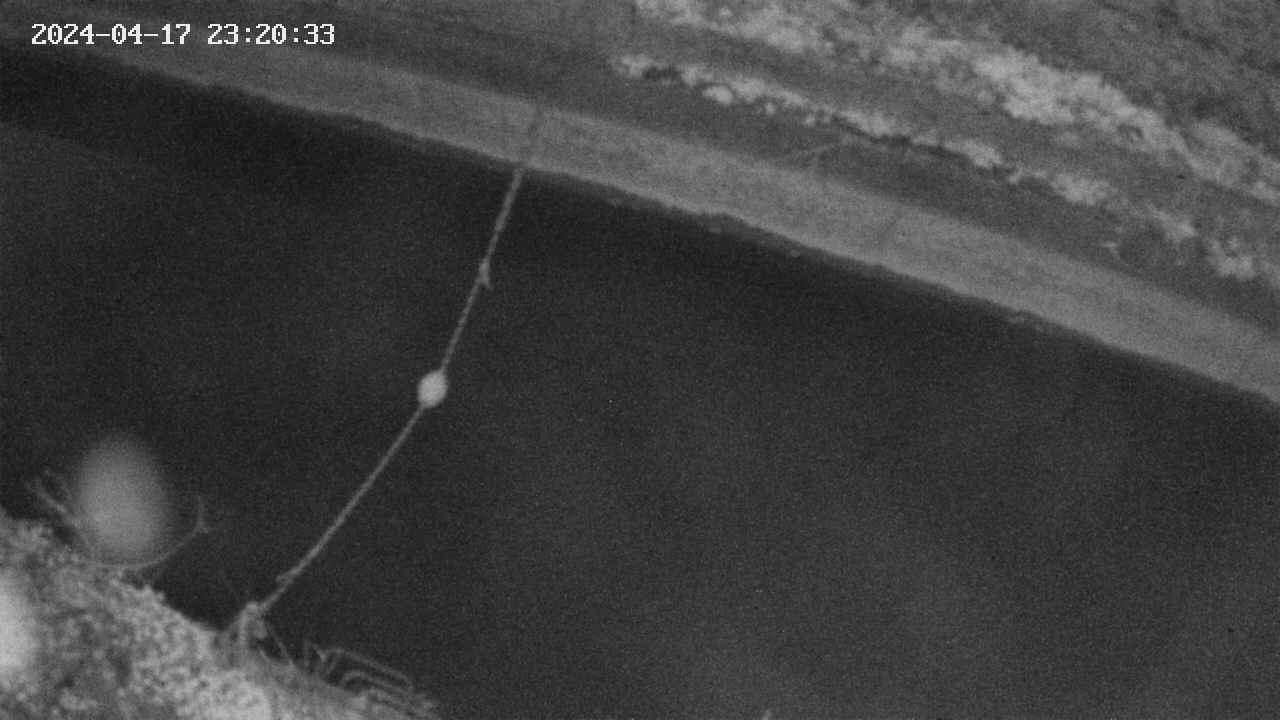 area10-20240417232034.jpg