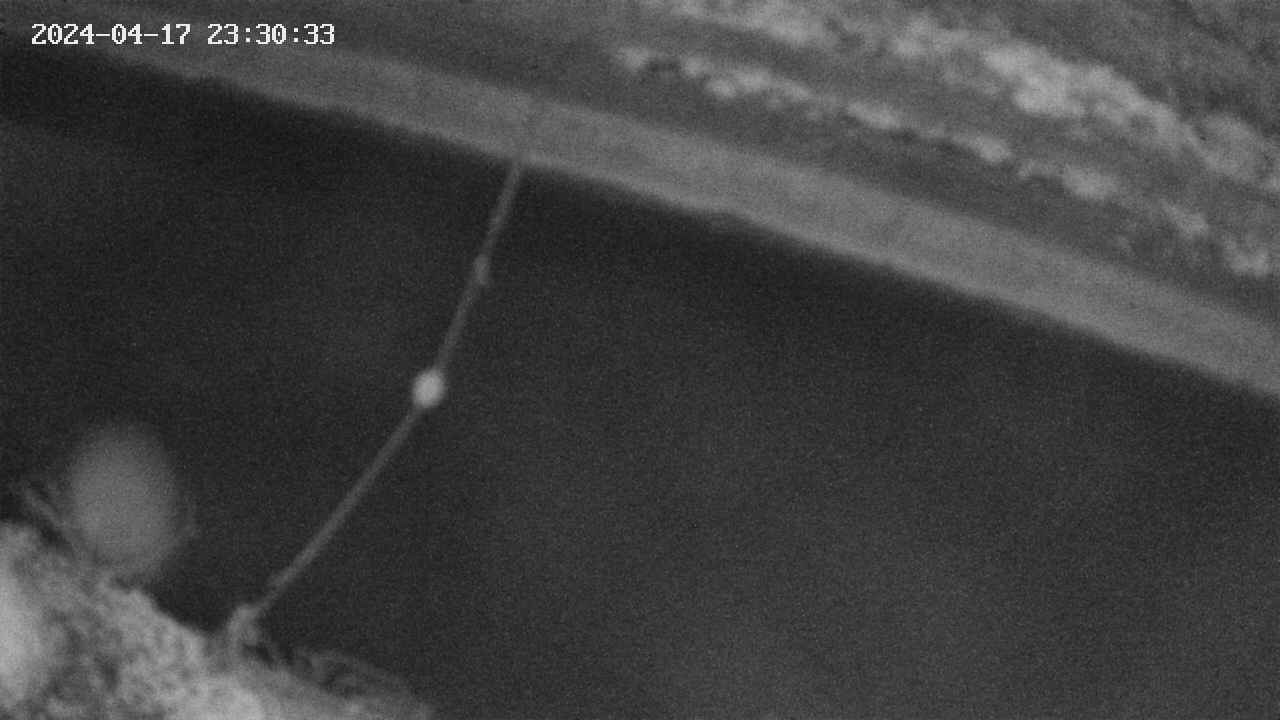 area10-20240417233034.jpg