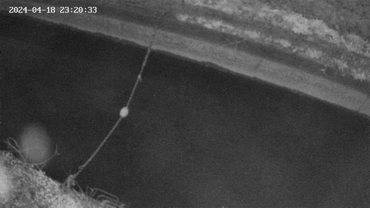 area10-20240418232034.jpg