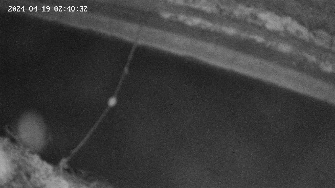 area10-20240419024033.jpg