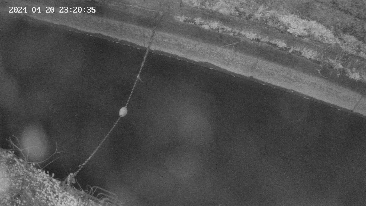 area10-20240420232036.jpg