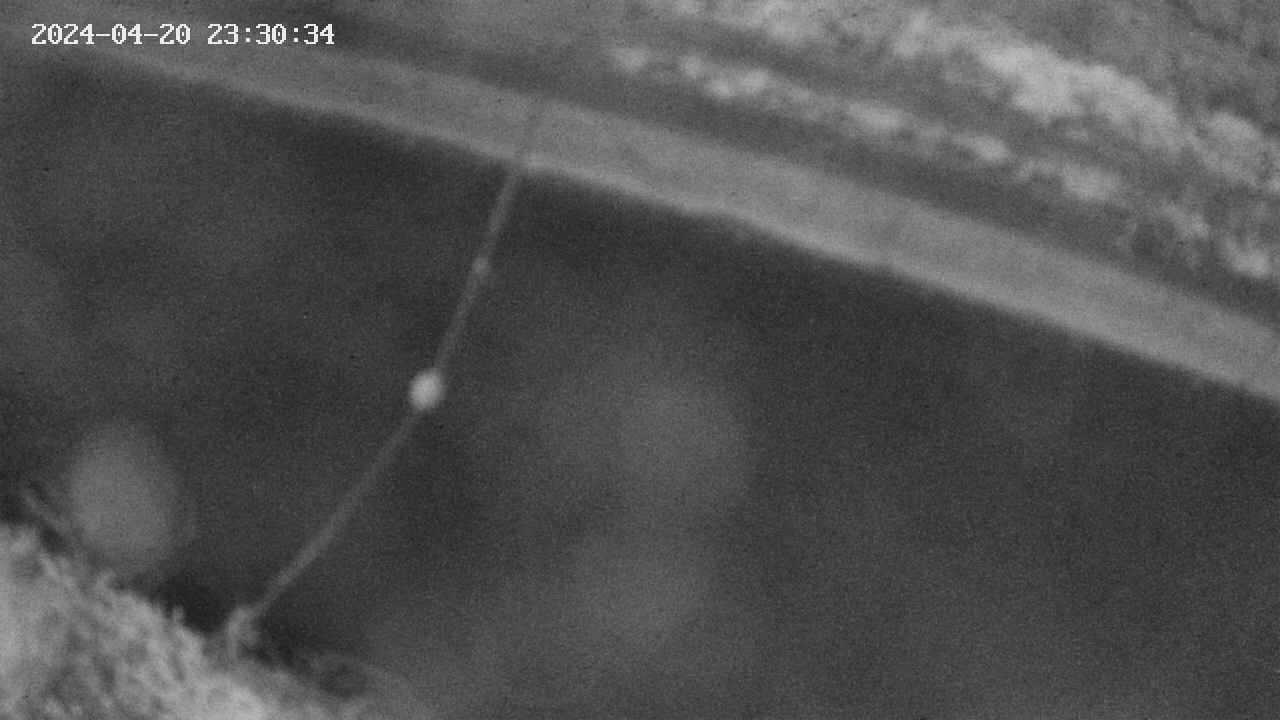 area10-20240420233035.jpg