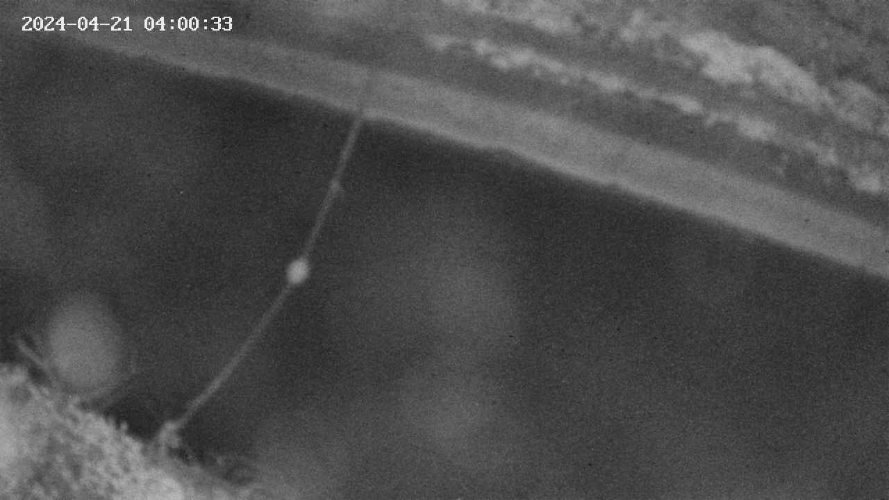 area10-20240421040034.jpg