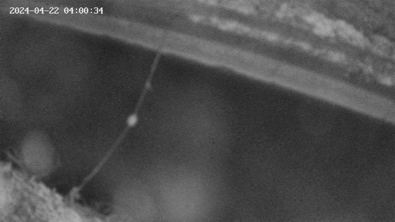 area10-20240422040035.jpg