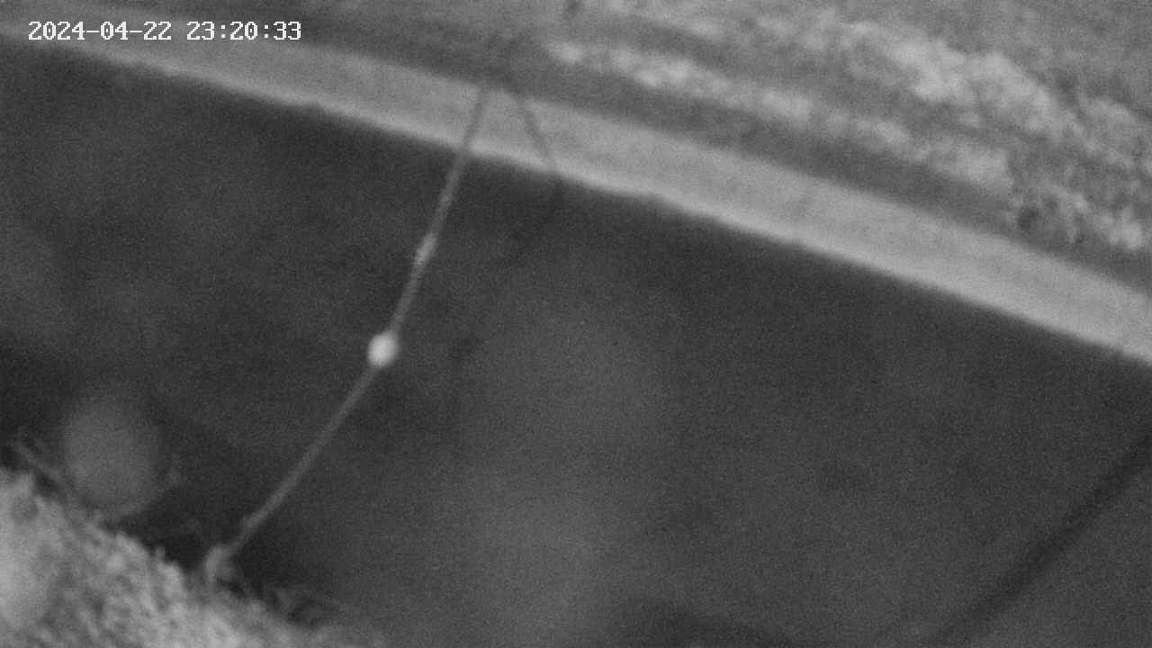 area10-20240422232033.jpg