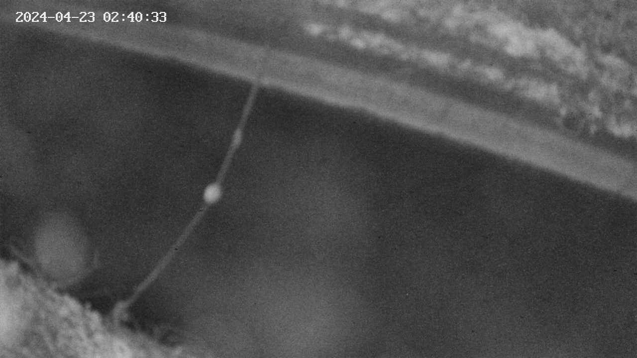 area10-20240423024033.jpg