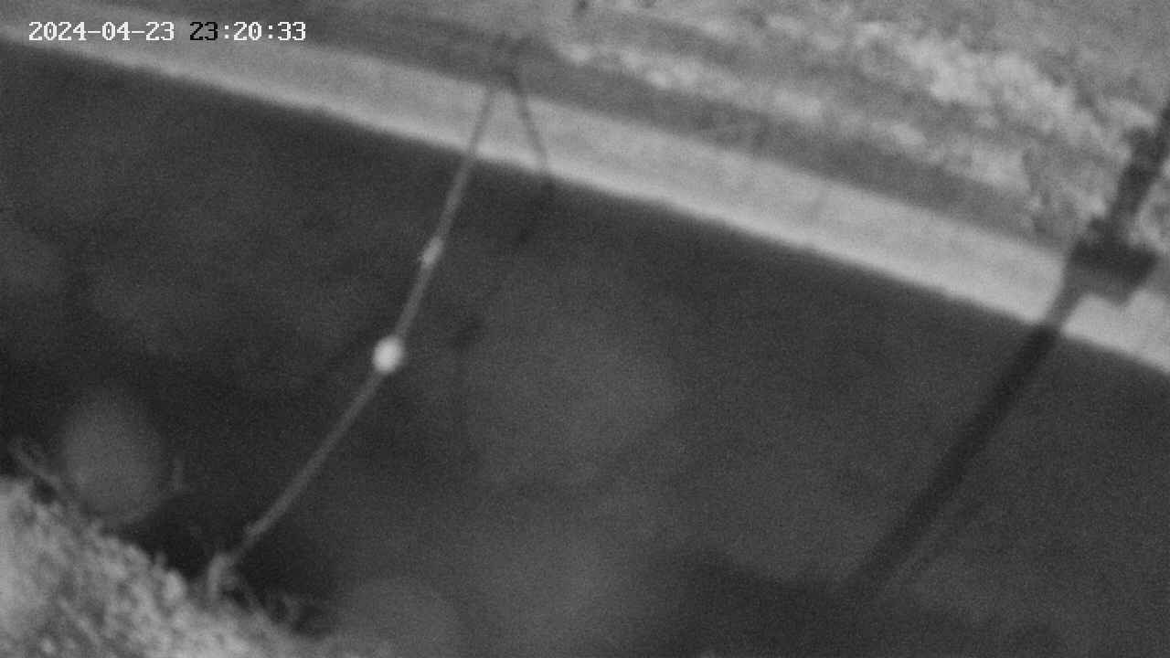 area10-20240423232033.jpg