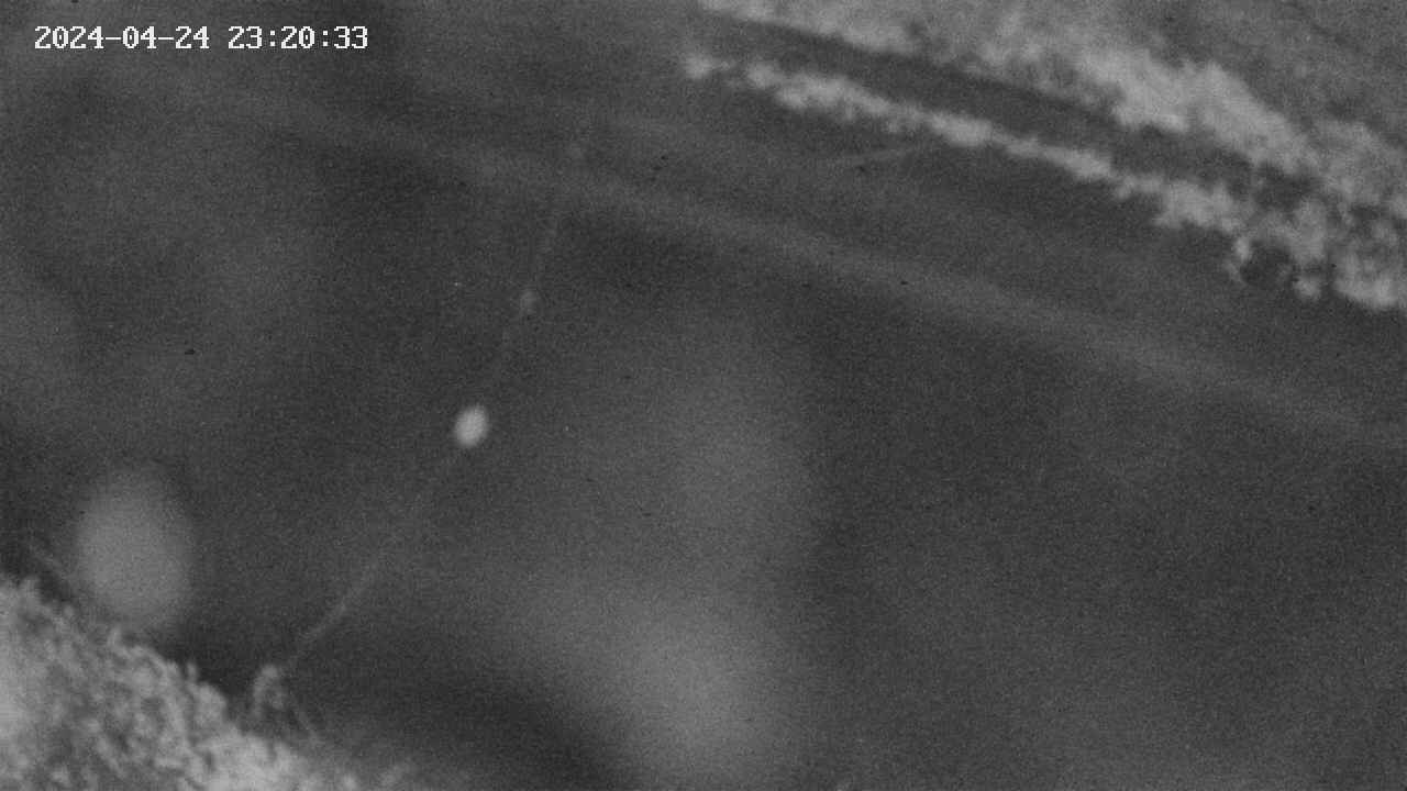 area10-20240424232034.jpg