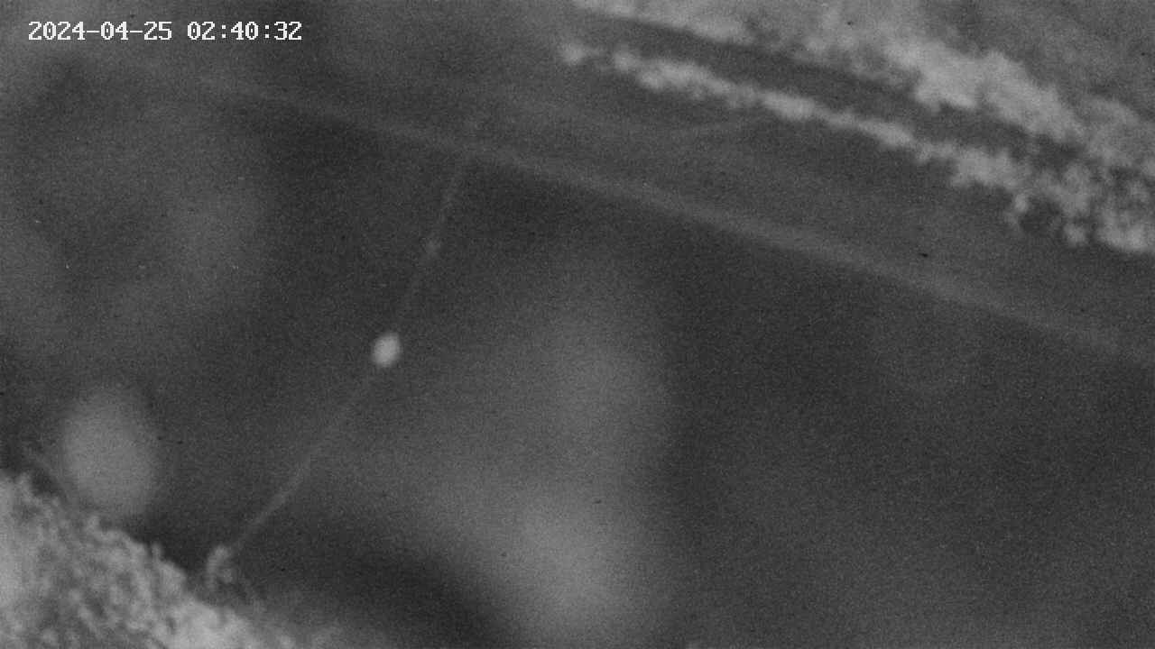 area10-20240425024033.jpg