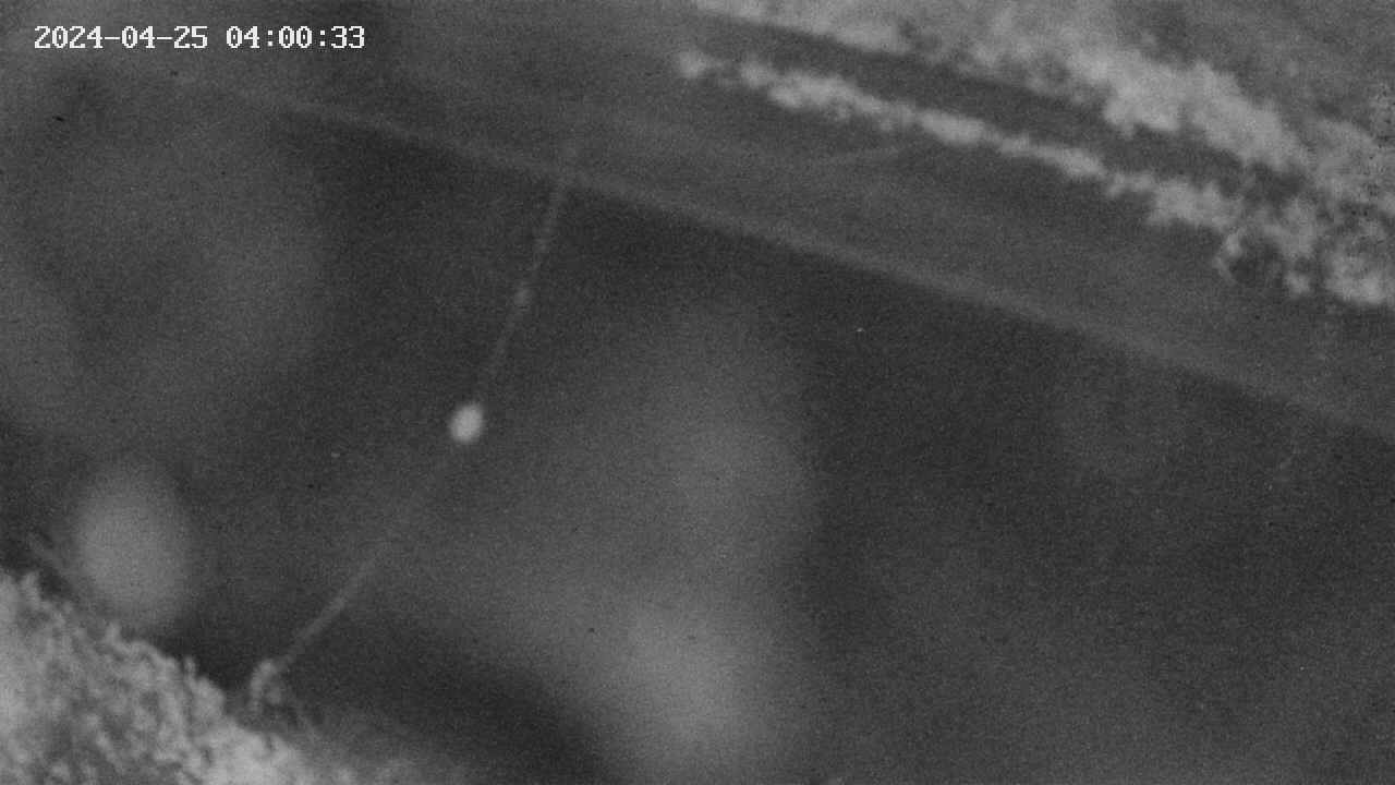 area10-20240425040034.jpg